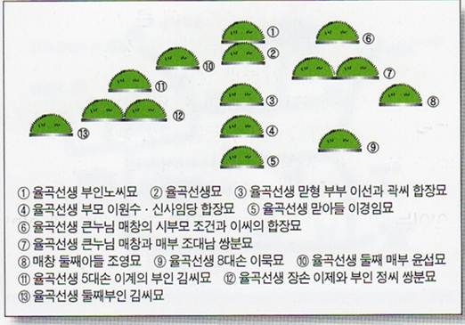 자운산 묘역 배치도