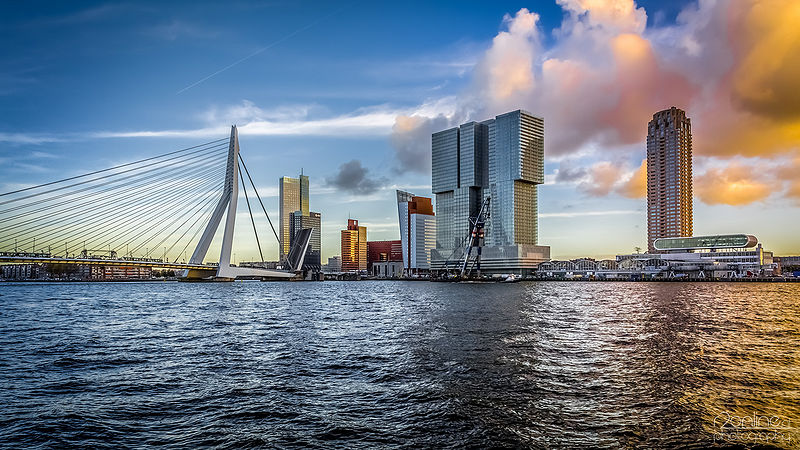 파일:Rotterdam.jpg
