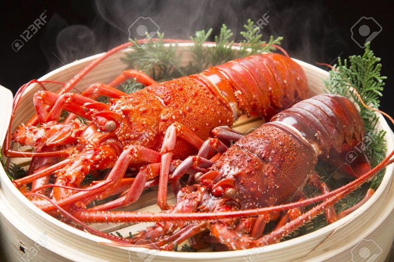 파일:SL.jpg