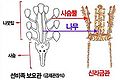 2016년 12월 25일 (일) 23:57 판의 섬네일