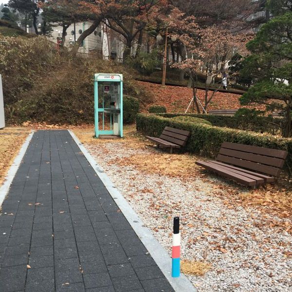 파일:Mf4.jpg
