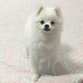 2018년 7월 26일 (목) 16:40 판의 섬네일