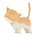 Cat3.png