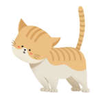 Cat3.png