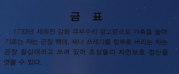 강화비석군4.jpg