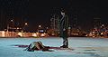 2017년 6월 12일 (월) 21:22 판의 섬네일