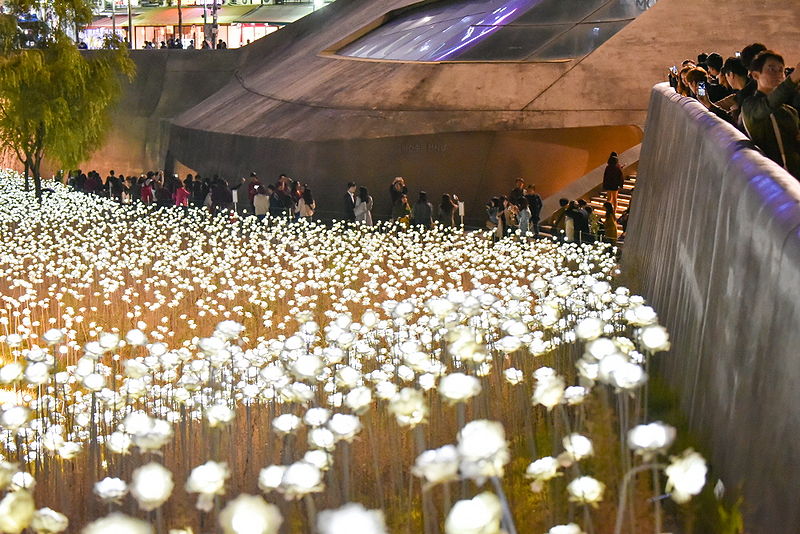 파일:Led장미.jpg