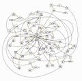 2025년 4월 14일 (월) 17:09 판의 섬네일