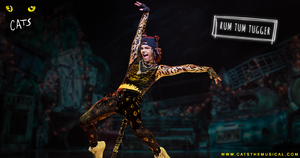 Rum Tum Tugger.png