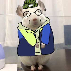 친칠라.png