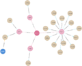 경성헤르조 Institution관점그래프 중앙불교전문학교.png