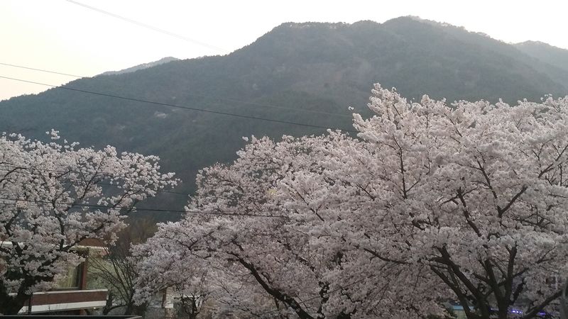 파일:SSangyesa 2.jpg