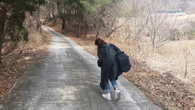 파일:Taegosa 2.jpg